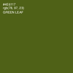 #4E6117 - Green Leaf Color Image